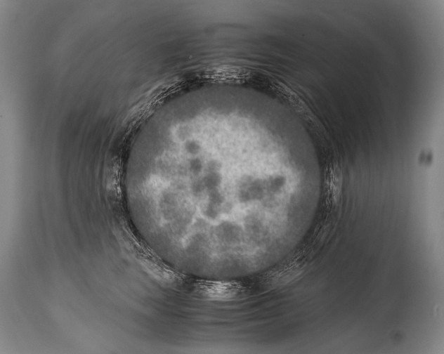 X0000114680663200911181231