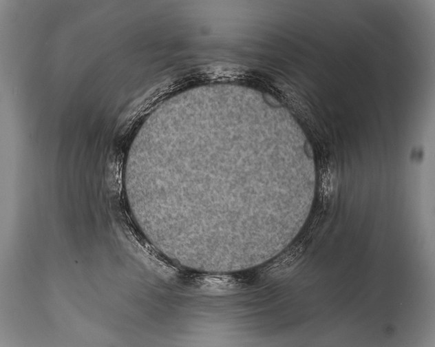 X0000114680666200911181231