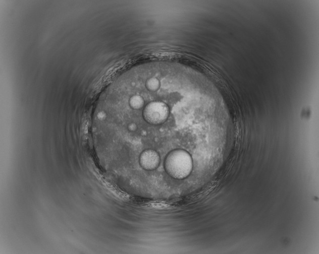 X0000114680668200911181231