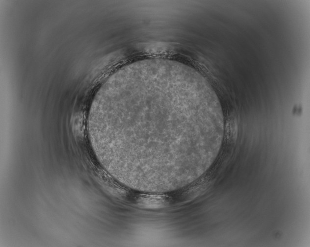 X0000114680671200911181231