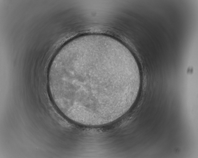 X0000114680673200911181231