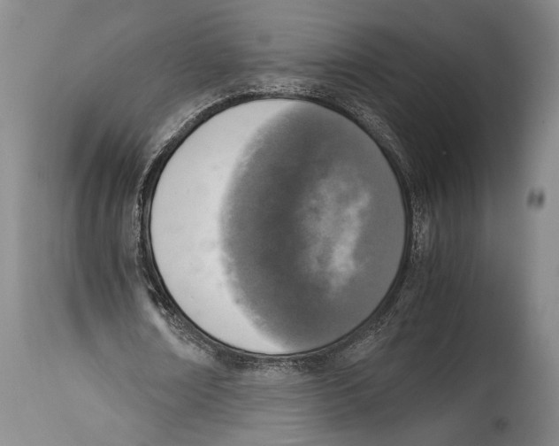 X0000114680674200911181231