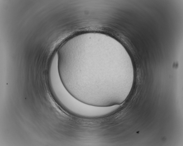 X0000114680677200911181231