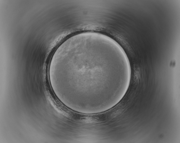 X0000114680678200911181231