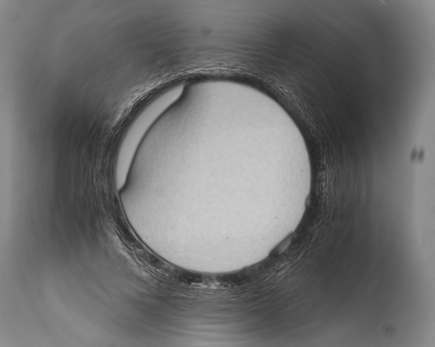 X0000114680688200911181231