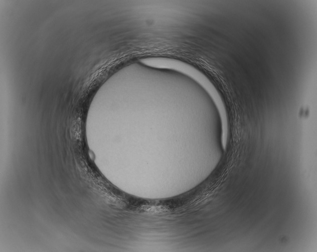 X0000114680689200911181231