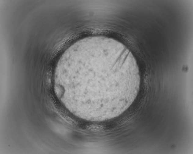 X0000114680691200911181231