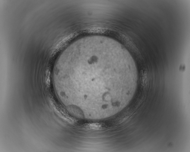 X0000114680692200911181231