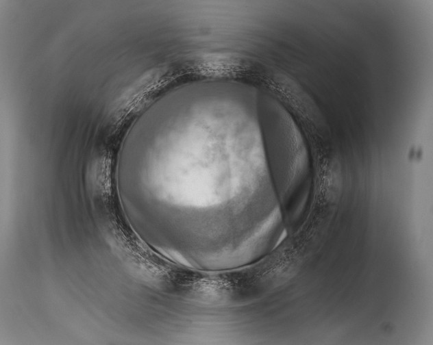 X0000114680696200911181230