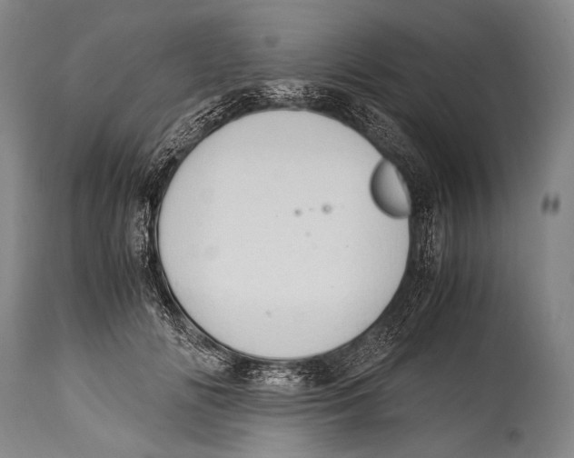 X0000114680702200911181230