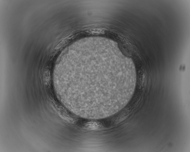 X0000114680704200911181230