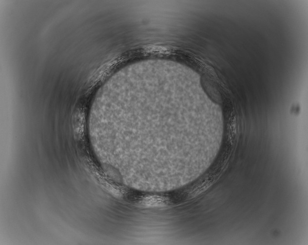 X0000114680708200911181230