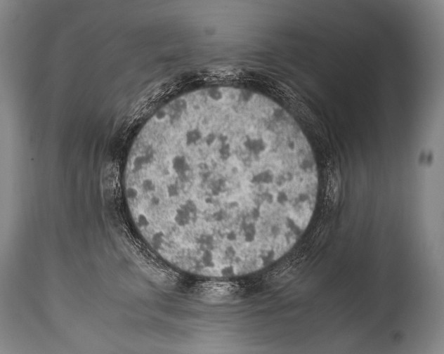 X0000114680711200911181230