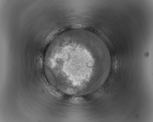 X0000114680716200911181230