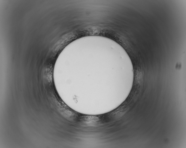 X0000114680719200911181230