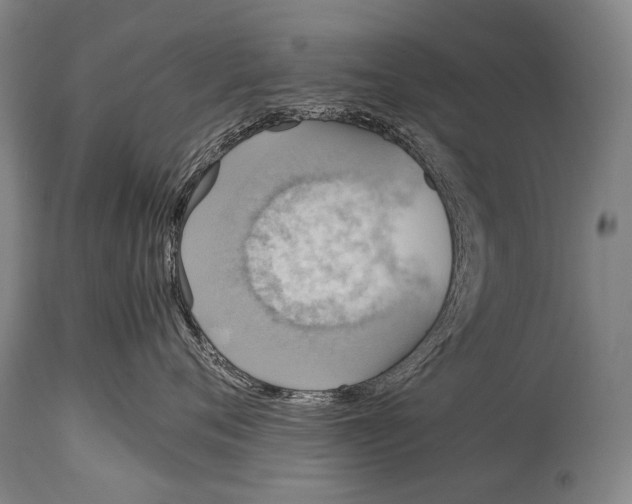 X0000114680720200911181230