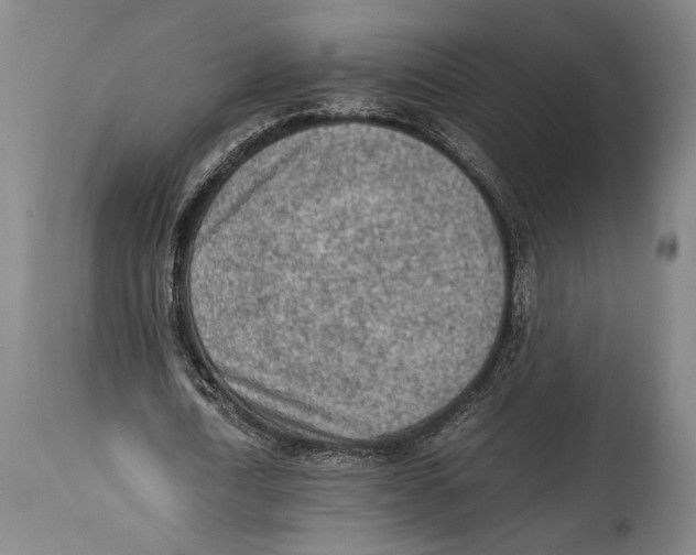 X0000114680722200911181229