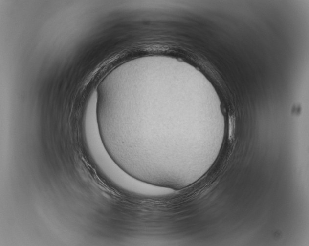 X0000114680723200911181230