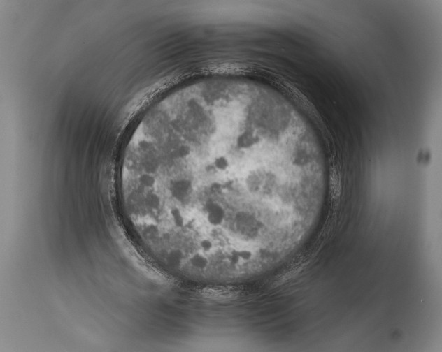 X0000114680725200911181230