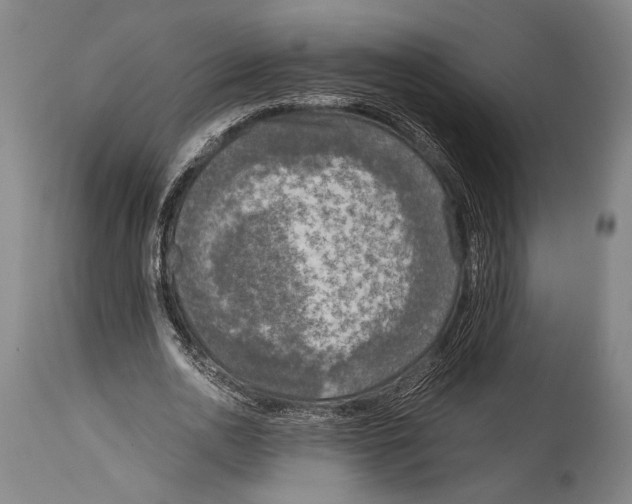 X0000114680726200911181230