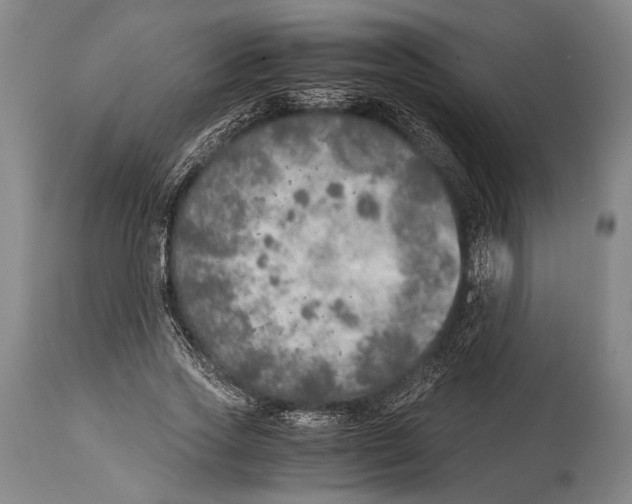 X0000114680733200911181230