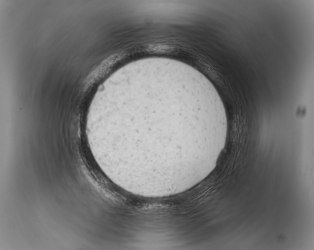 X0000114680734200911181230