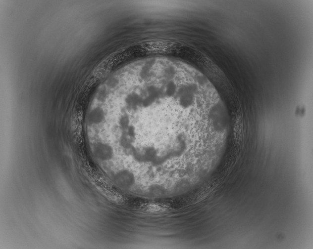 X0000114680737200911181230