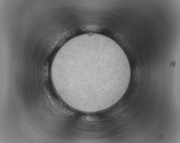 X0000114680739200911181230