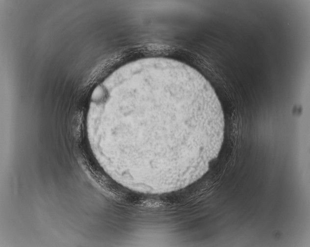 X0000114680742200911181230