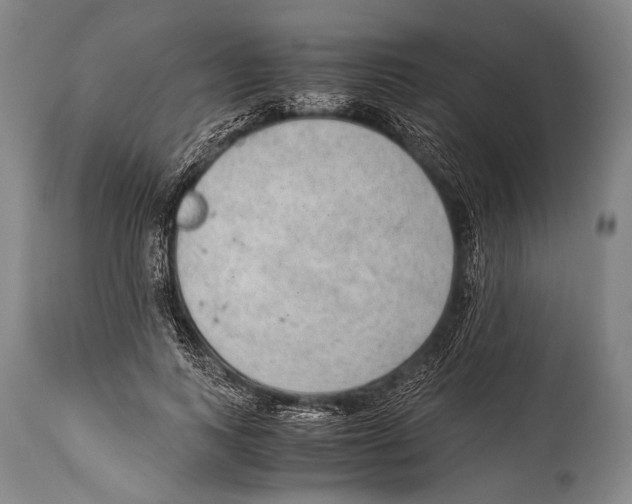 X0000114680743200911181230