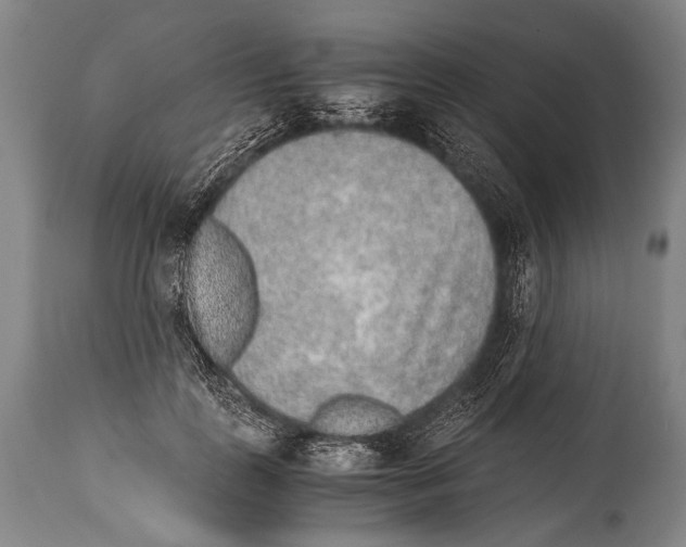 X0000114680747200911181230