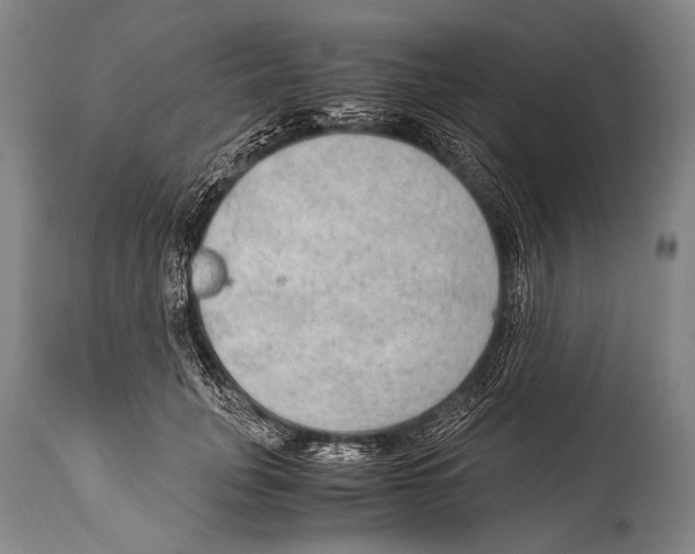 X0000114680751200911181230