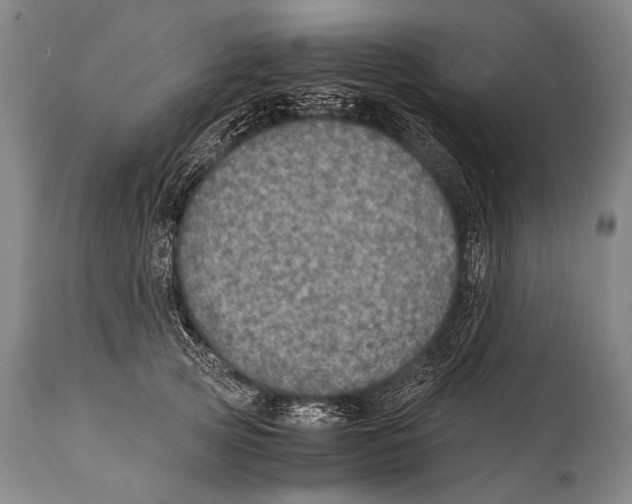 X0000114680753200911181230