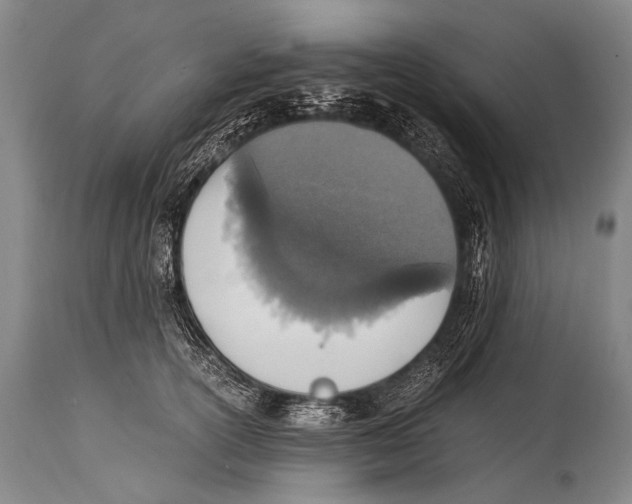 X0000114680754200911181230