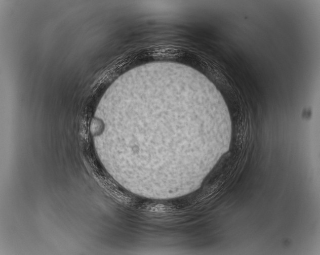 X0000114680755200911181230