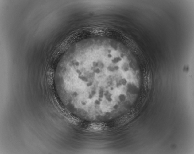 X0000114680757200911181230
