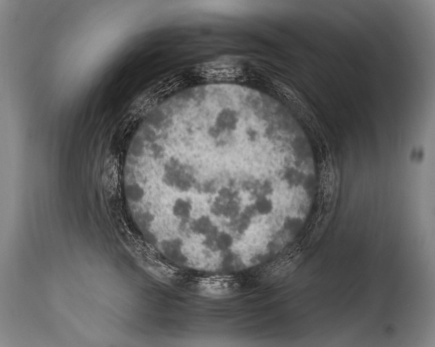 X0000114680761200911181230
