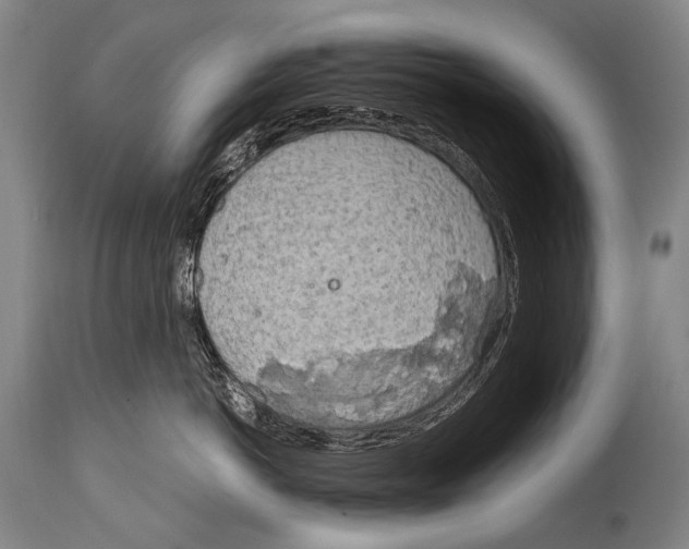 X0000114680766200911181230
