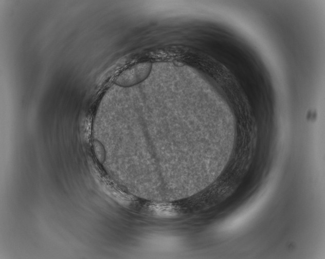 X0000114680767200911181230