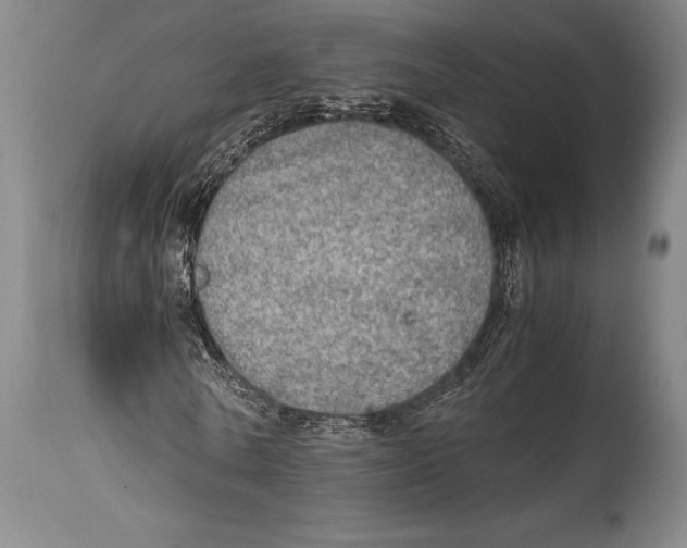 X0000114680770200911181229