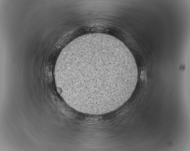 X0000114680771200911181229