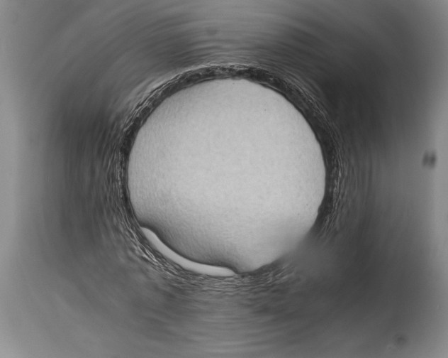 X0000114680773200911181229