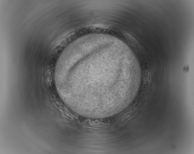 X0000114680774200911181229