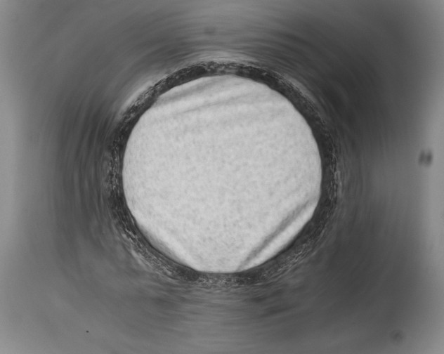 X0000114680775200911181229