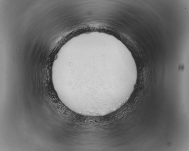 X0000114680776200911181229