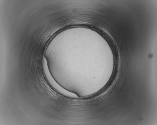 X0000114680777200911181229