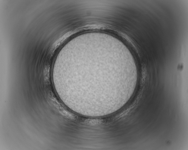 X0000114680778200911181229