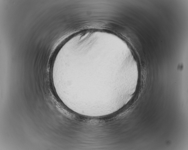 X0000114680779200911181229