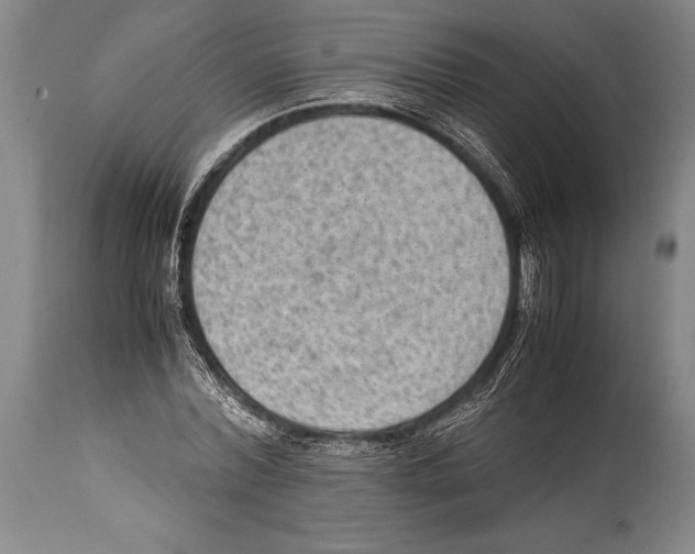 X0000114680780200911181229