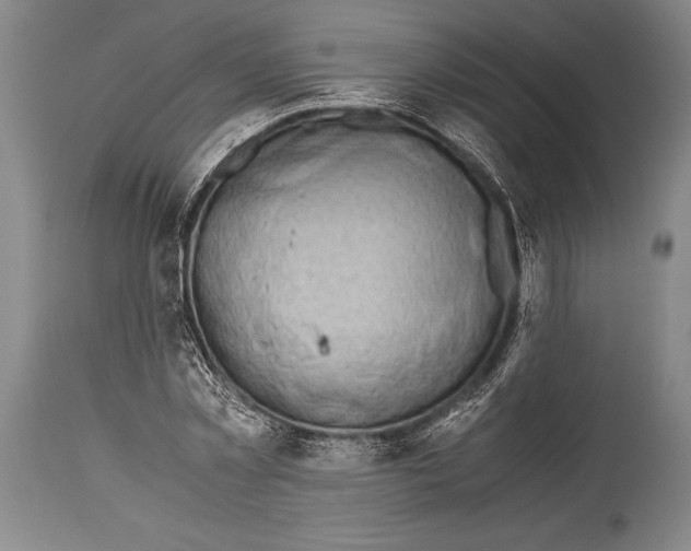 X0000114680781200911181229